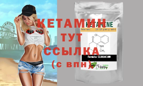 крисы Аркадак