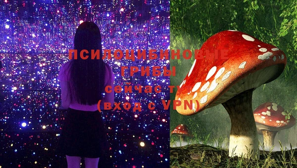 крисы Аркадак
